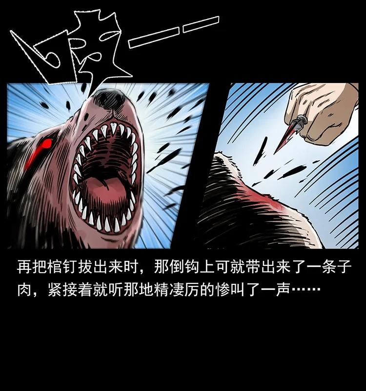 267 万山之祖——昆仑！61