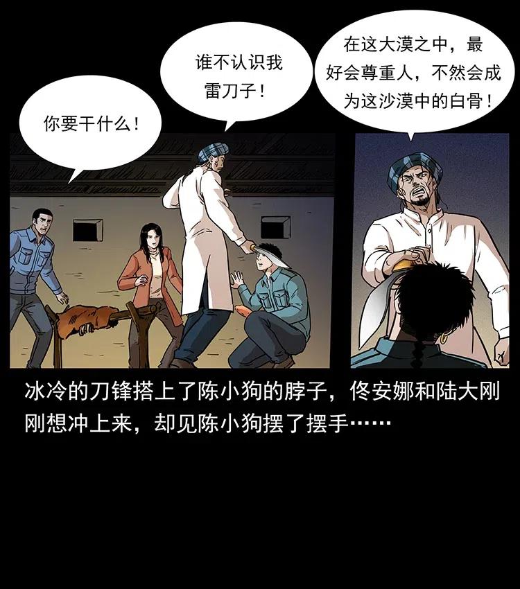316 大漠归客62