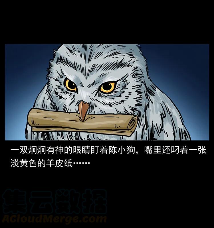 273 圈套16
