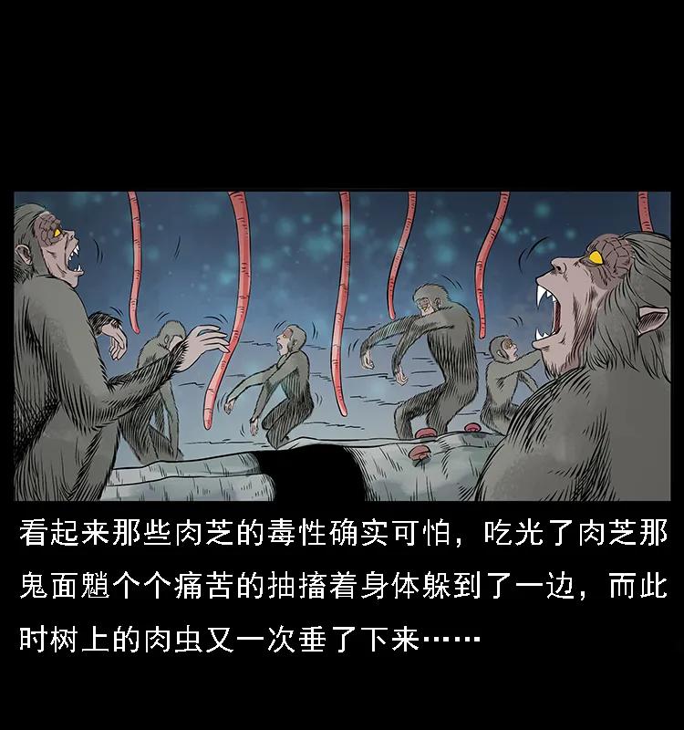 082 鬼桃树43