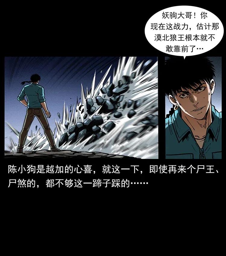 370 乌翅凤凰43