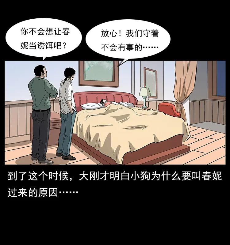 113 胎煞41