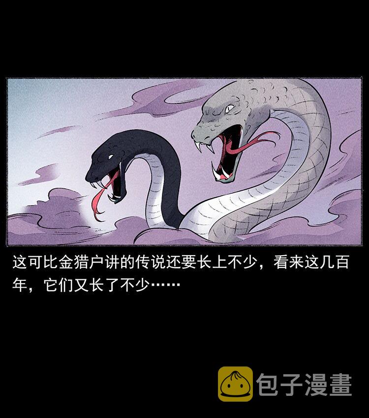 外传 洛生传5 引蛇出洞58