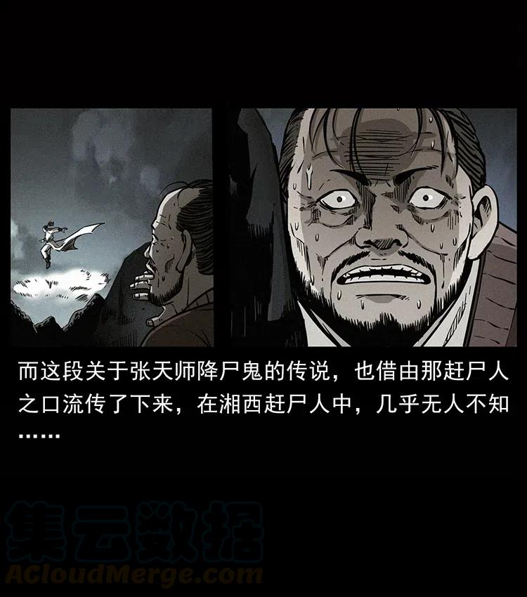 355 天师！天师！21