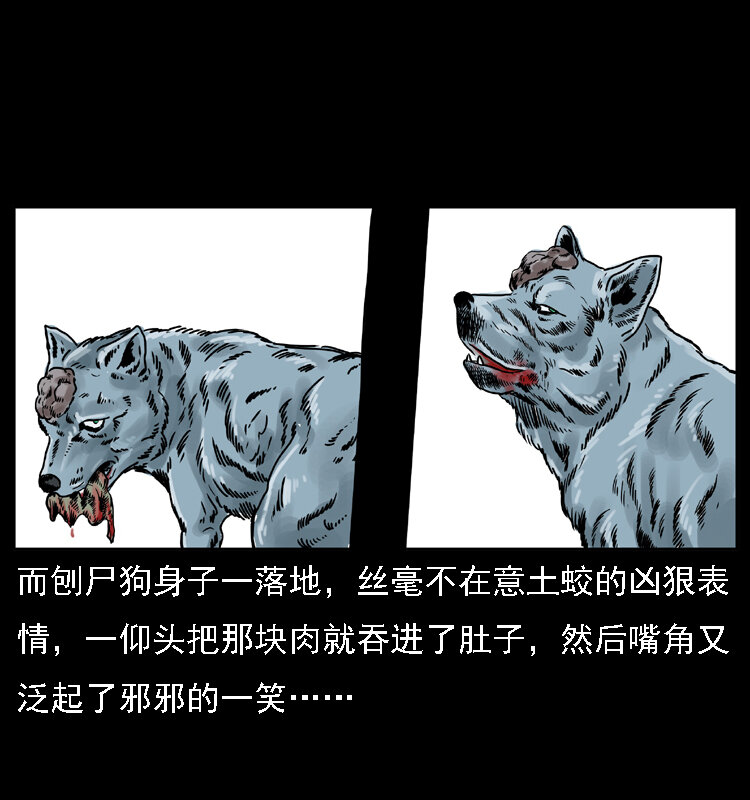 029 斗土蛟48