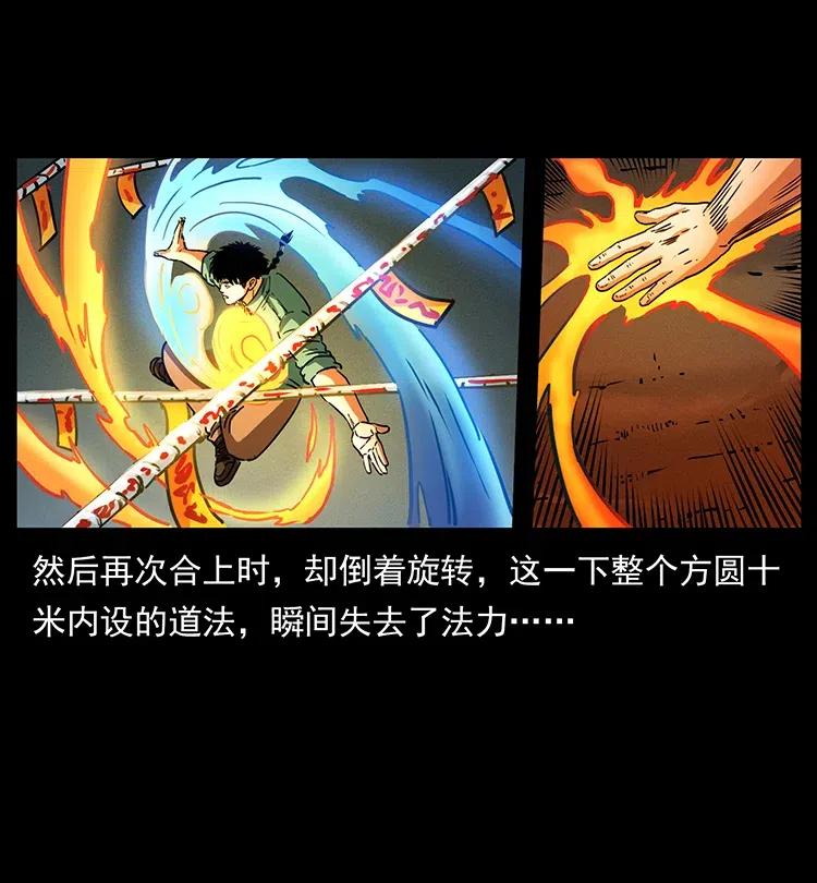 370 乌翅凤凰35