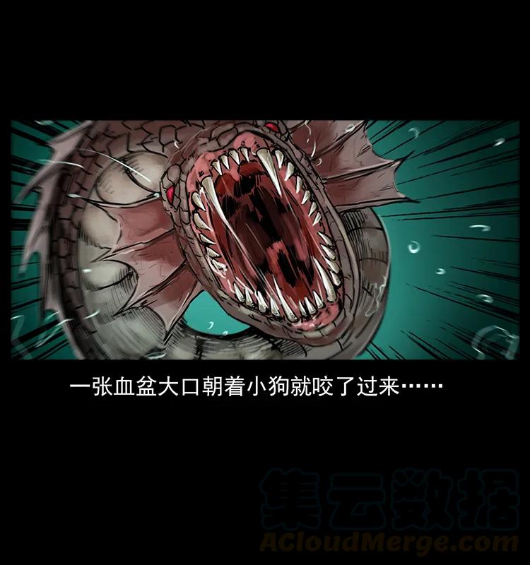 214 水下蛟龙72