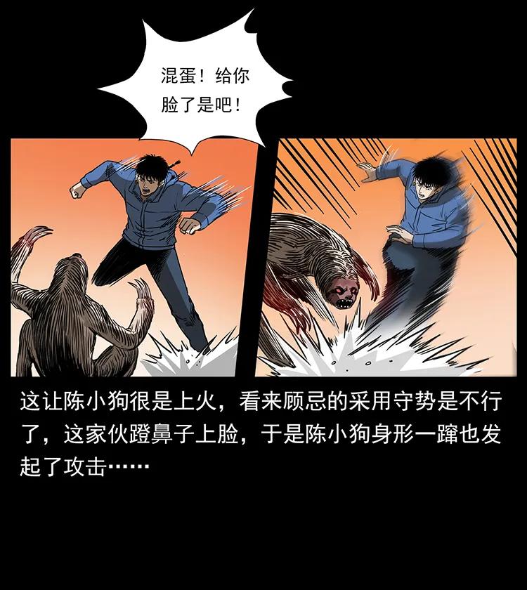 267 万山之祖——昆仑！53