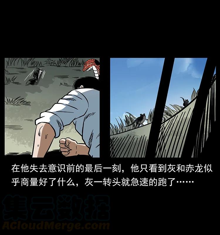 167 陈老狗遇险44