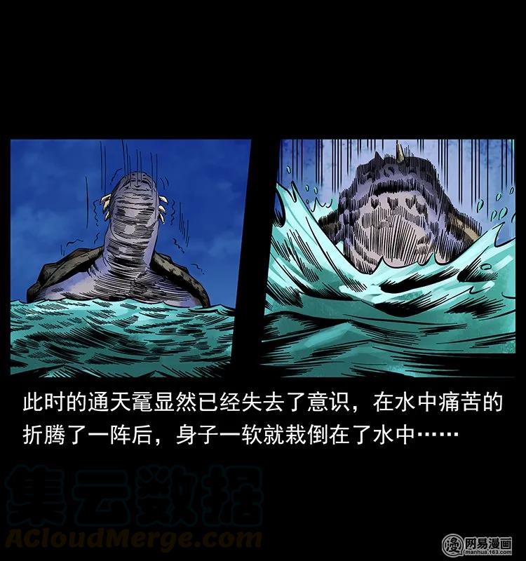 130 大战通天鼋68