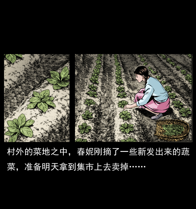 番外1 惊天大计划13