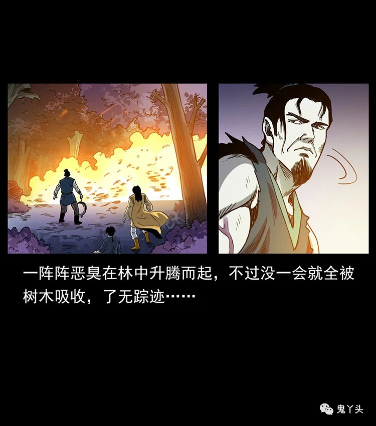 501 来战！53