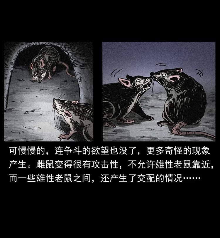 394 殇46