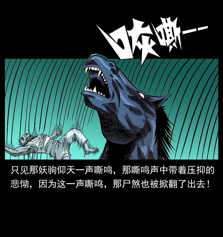 158 妖驹的选择83