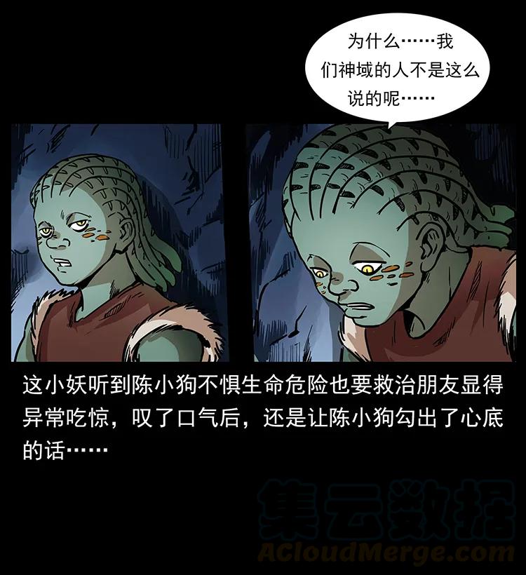274 神族的计划8
