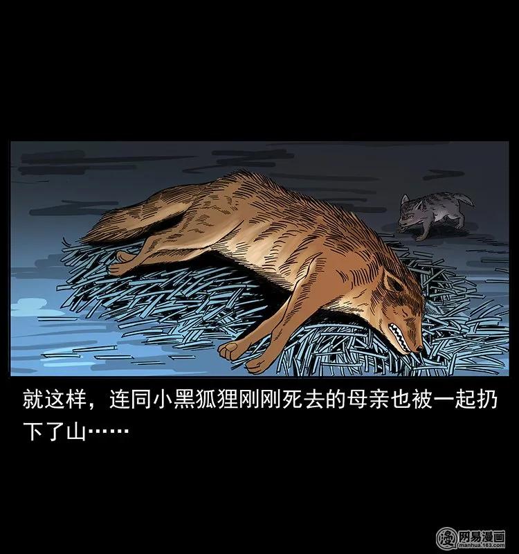 142 黑狐21