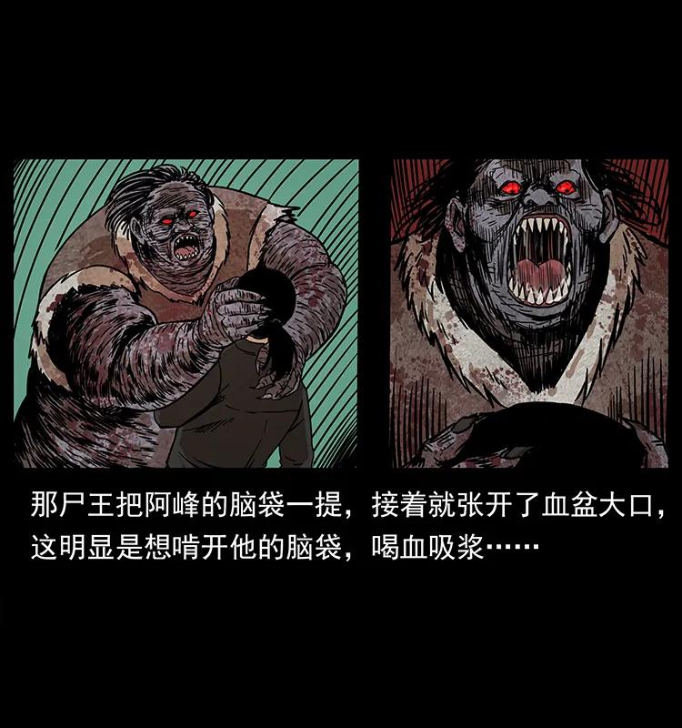 208 哪来的尸王70