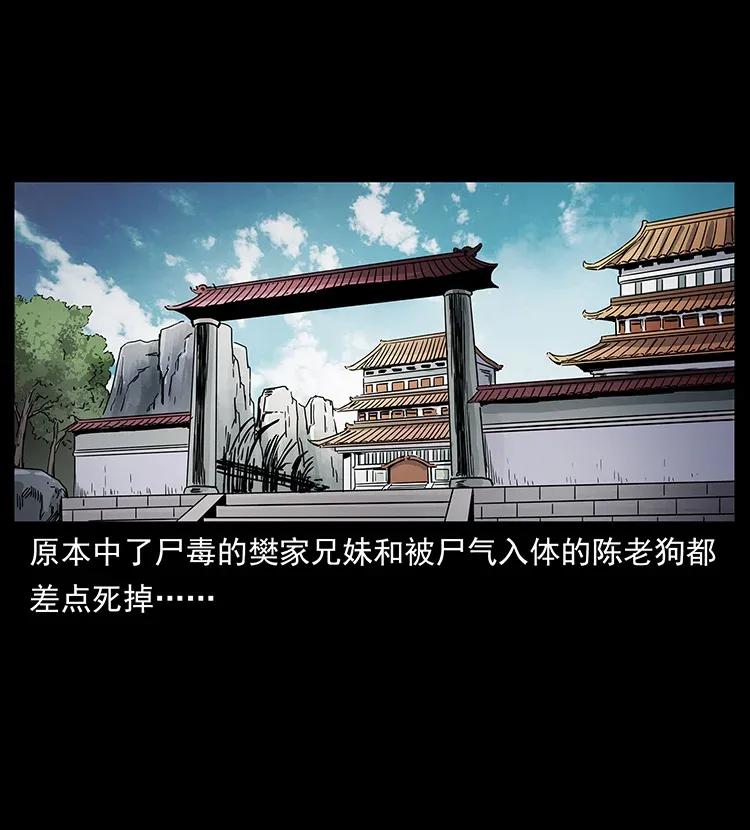 305 大买卖7