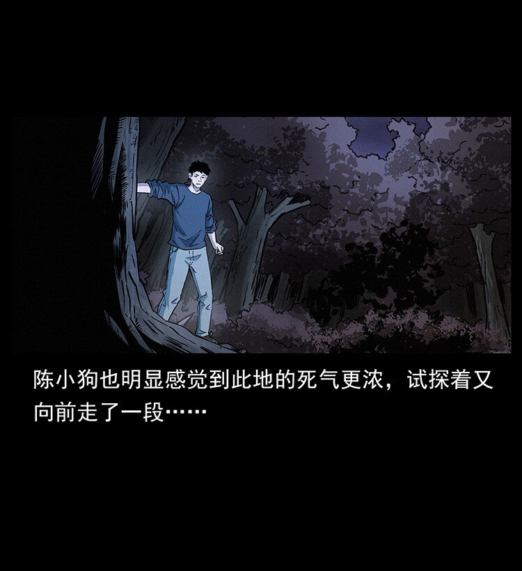 491 硬刚5