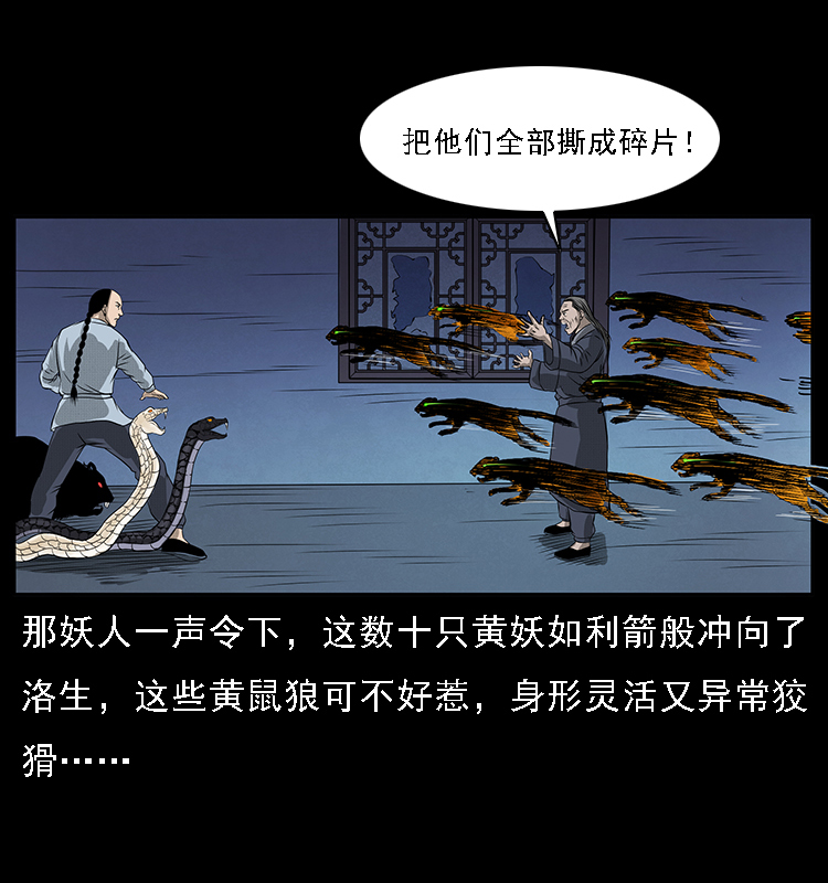 064 役兽妖人27