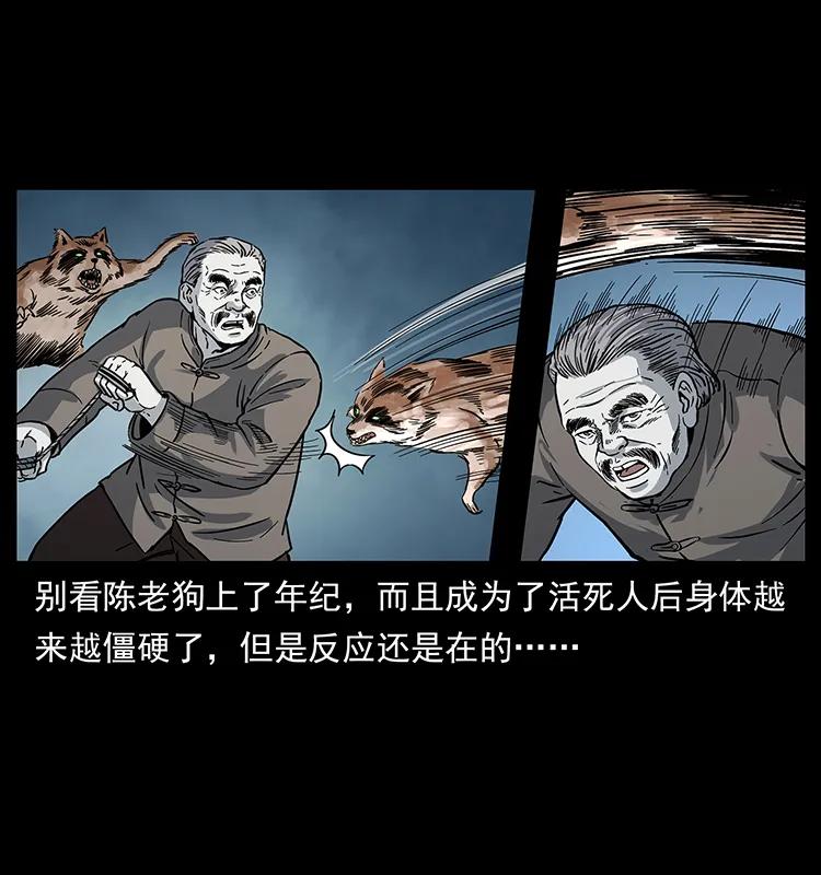 252 危机！危机66