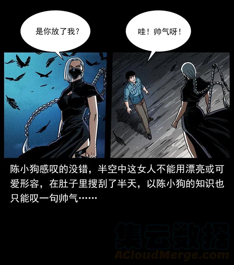 370 乌翅凤凰51