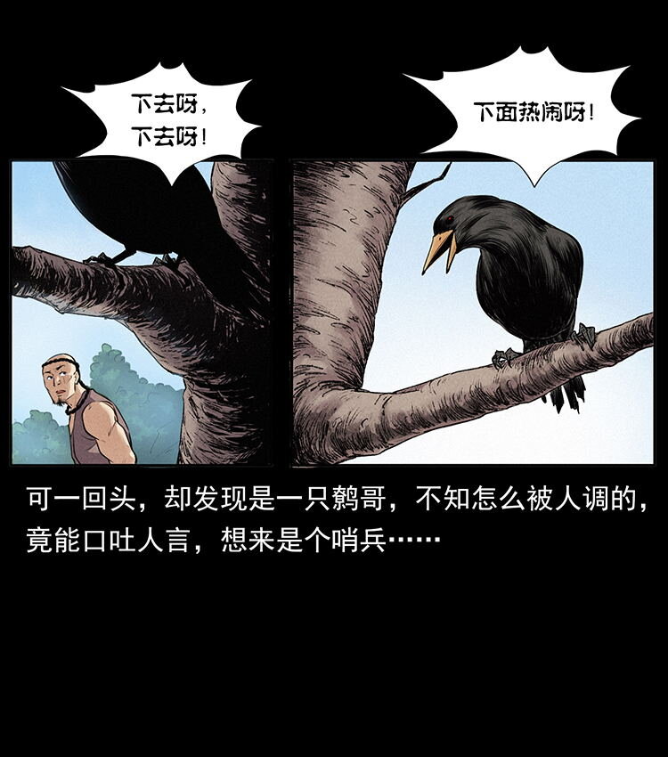 外传 洛生传2 土匪，土匪18