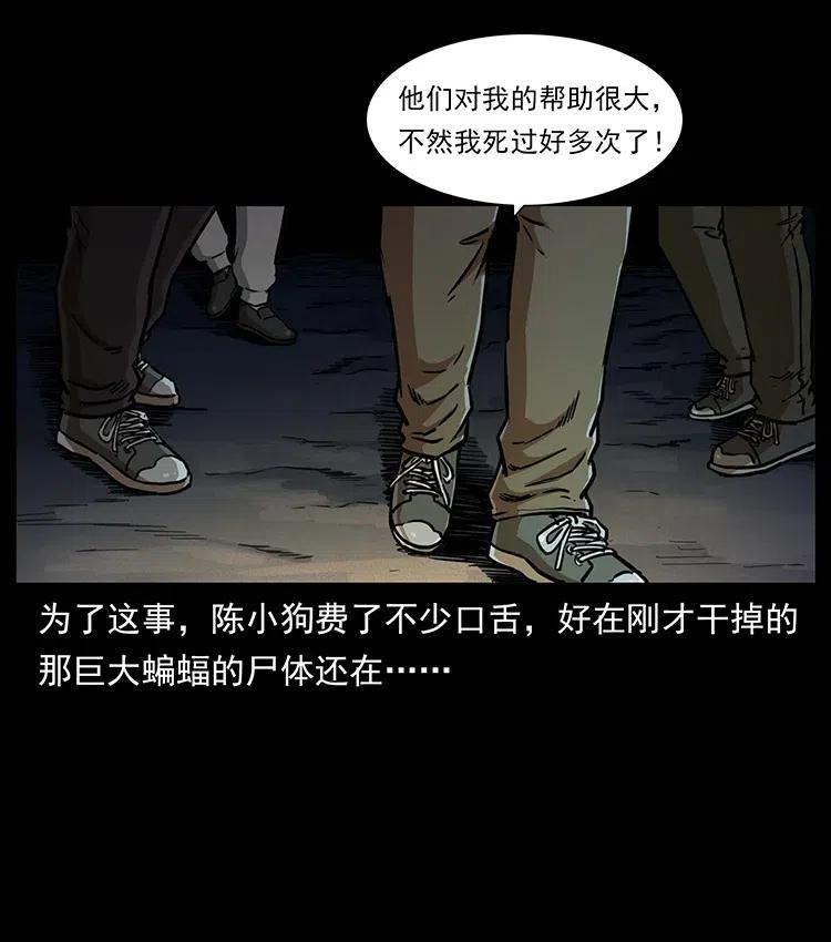 321 星图11