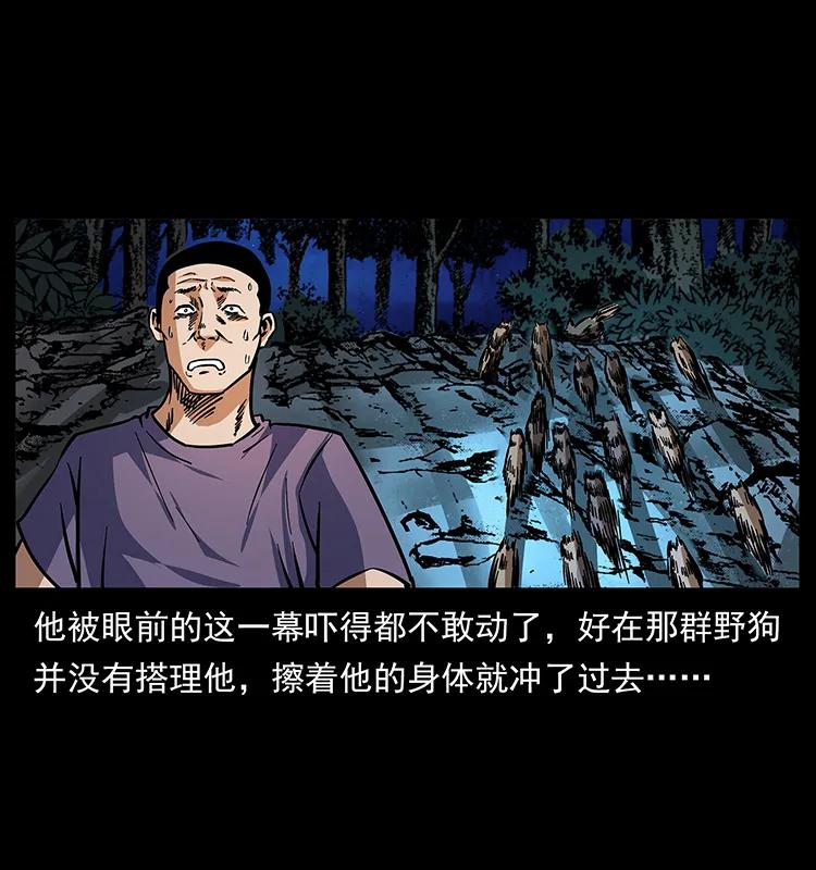 170 布局19
