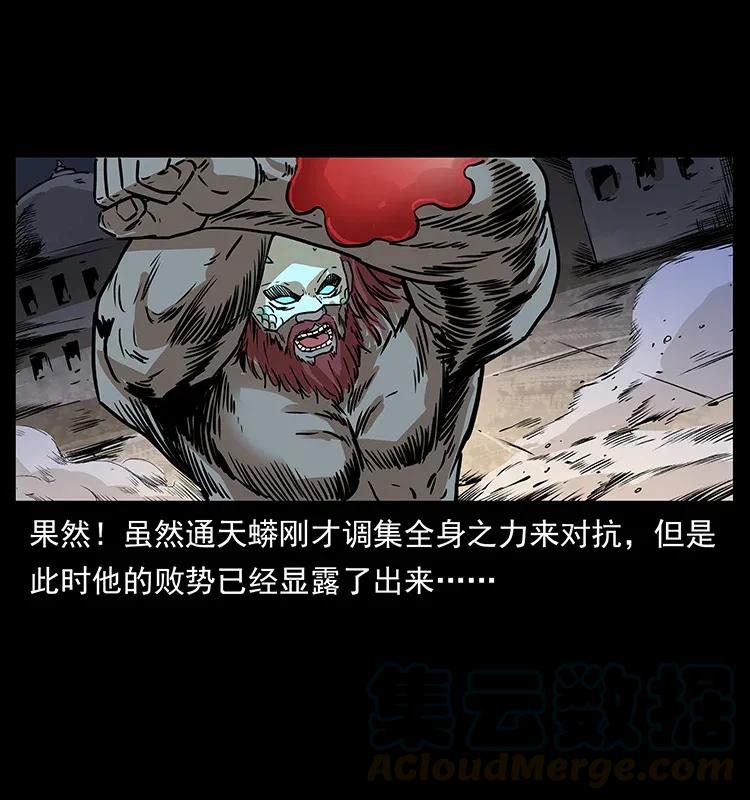 288 强者归队！8
