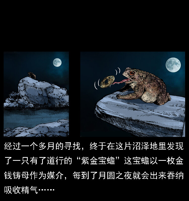 024 聚宝蟾13