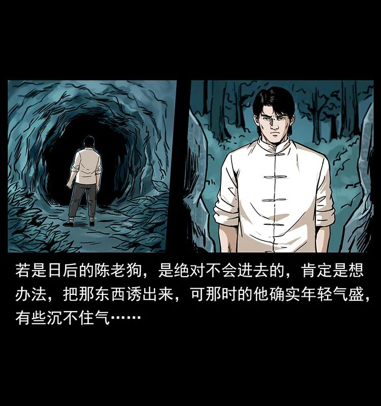 231 东海木龙18