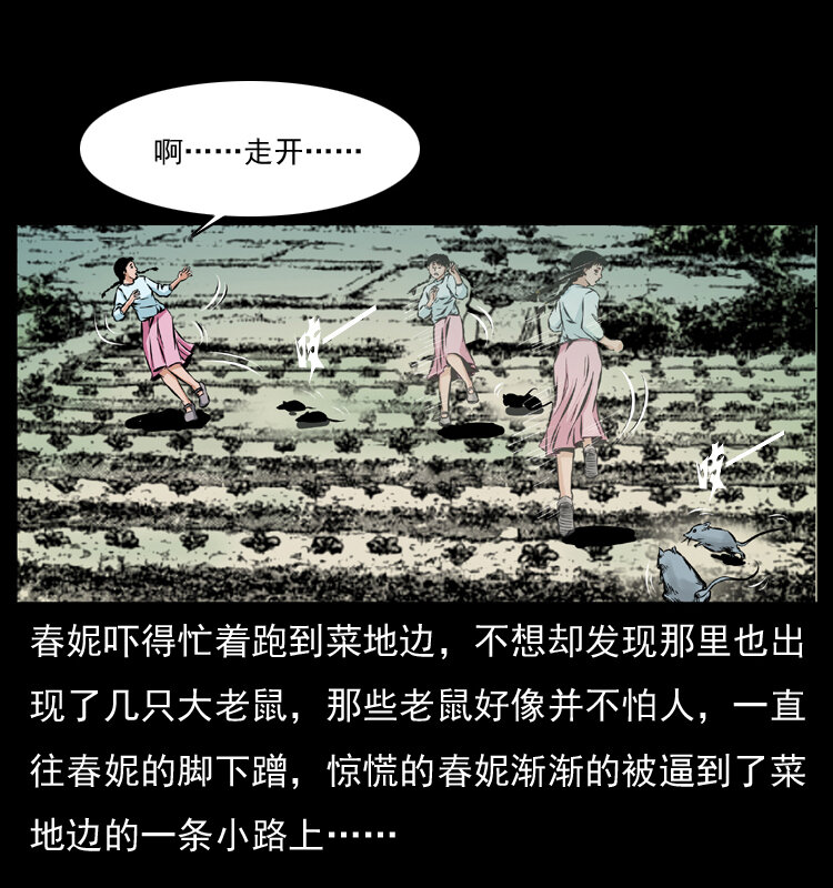 番外1 惊天大计划16