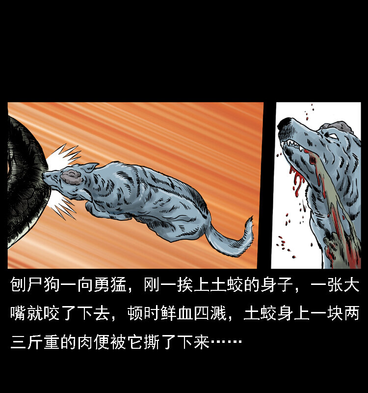 029 斗土蛟46
