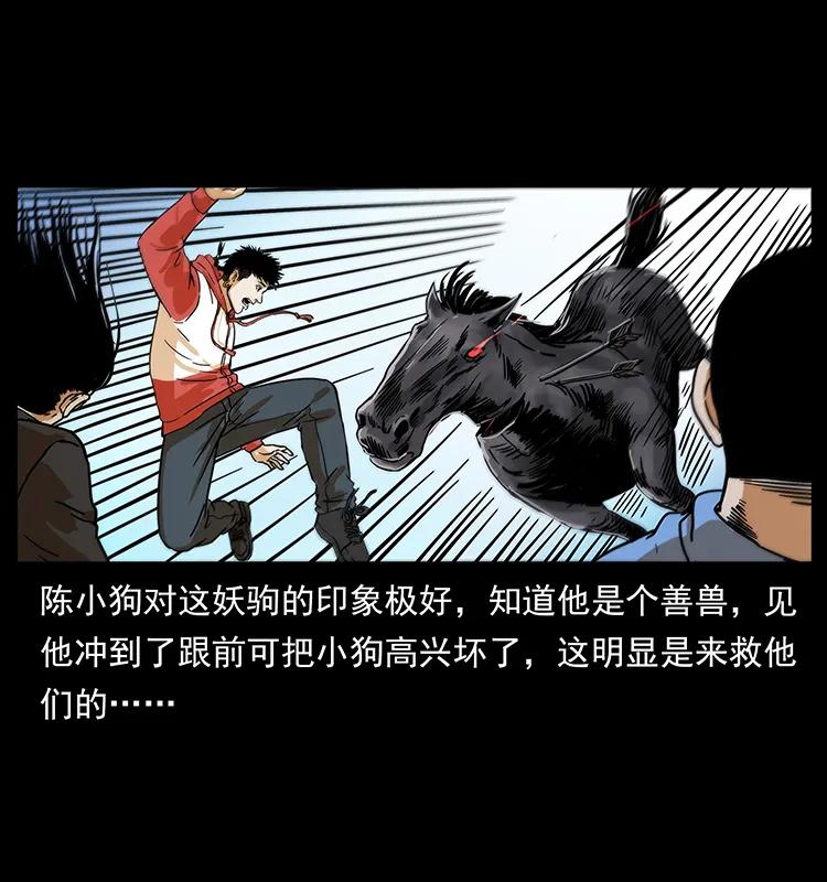220 漠北白狼王51