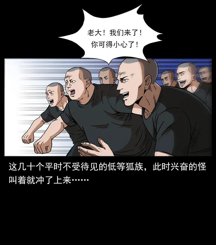 310 黑狐的神仙日子42