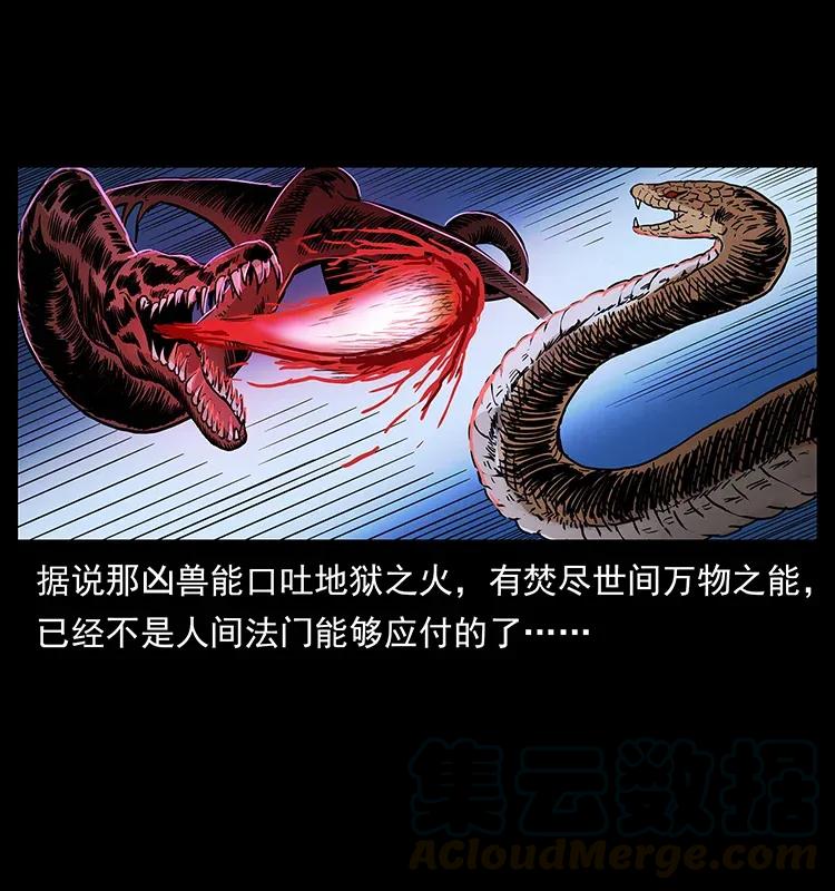 293 赤龙回归4