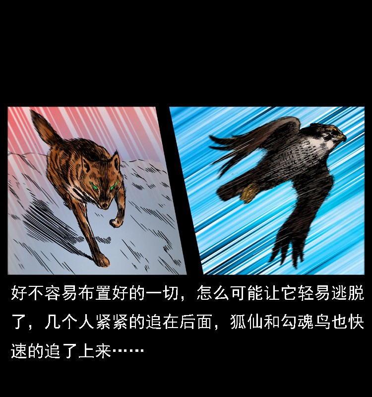 030 斗土蛟211
