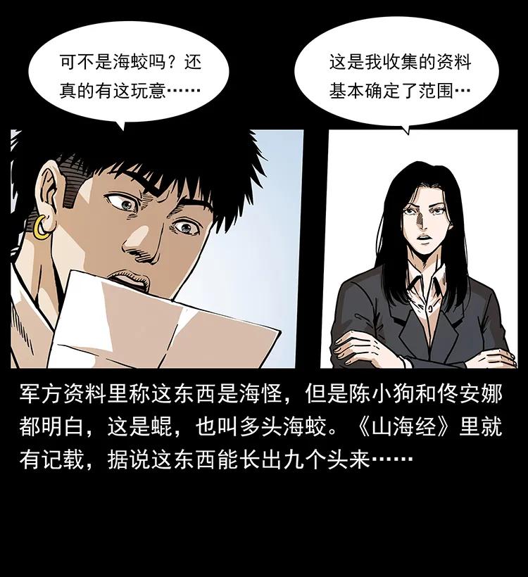 229 东海龙骨82