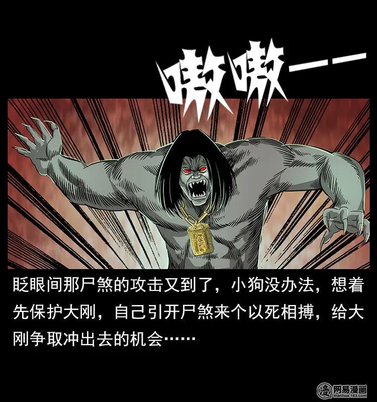 118 天宝仙牌35
