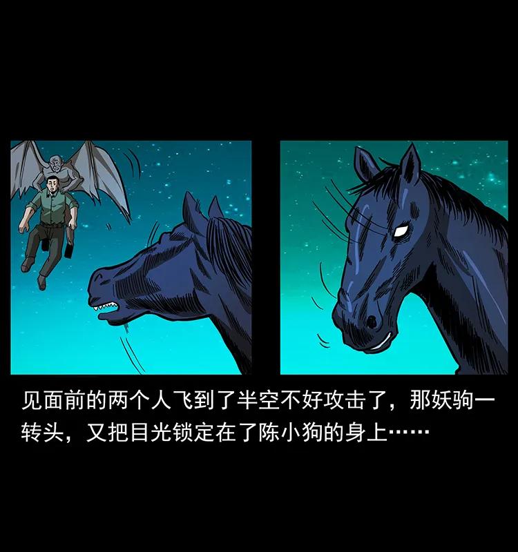 158 妖驹的选择19