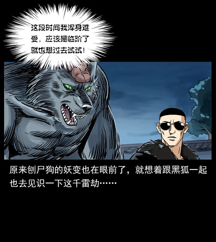 260 阴阳两世39