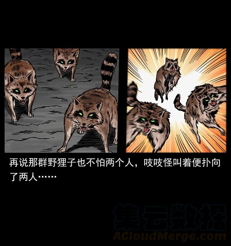 250 走失52