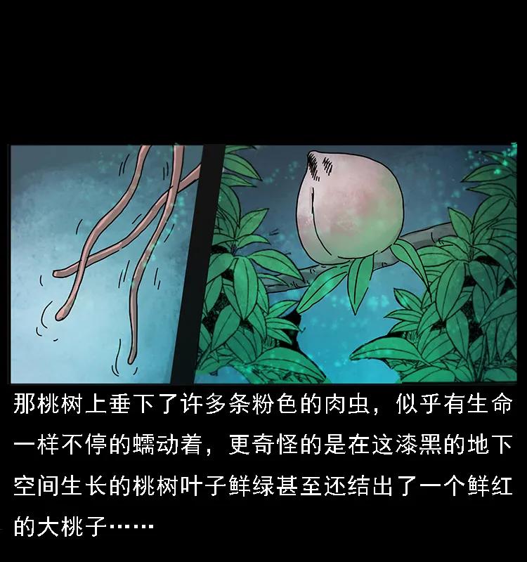 082 鬼桃树26