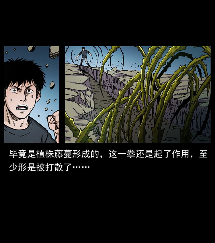 481 树62
