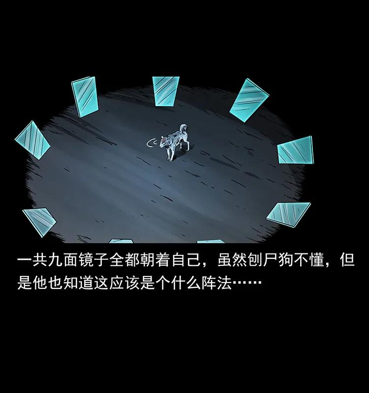 251 刨尸狗遇险73