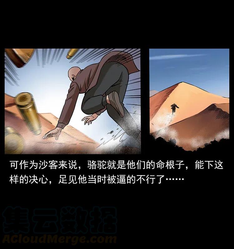 317 大漠凶兽24