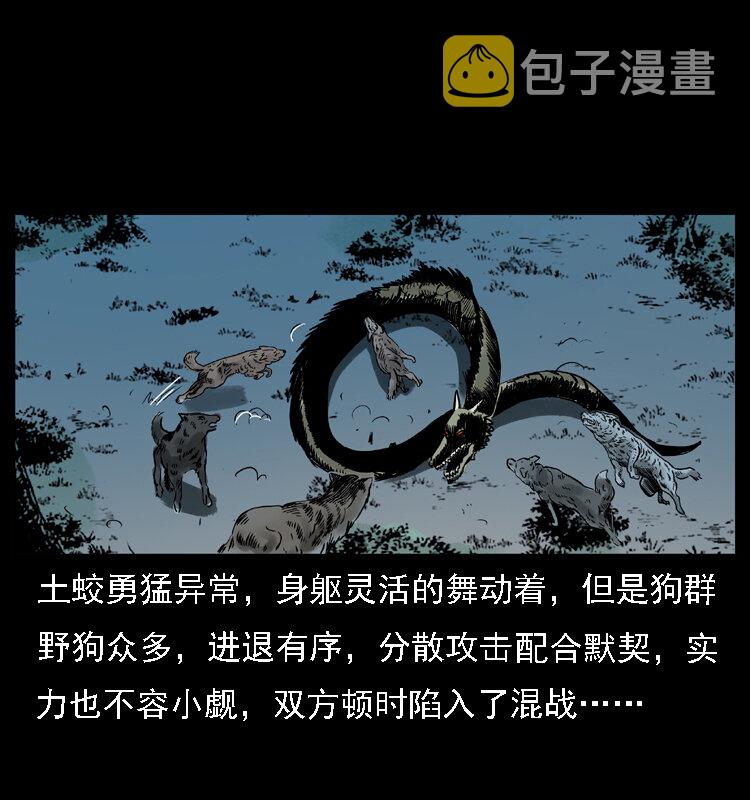 029 斗土蛟51