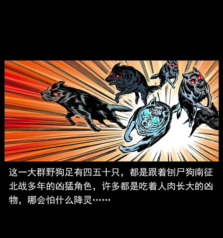 179 龙家的实力27