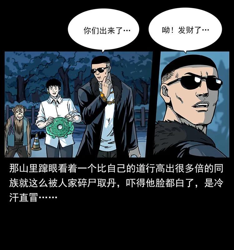 227 猴脑35
